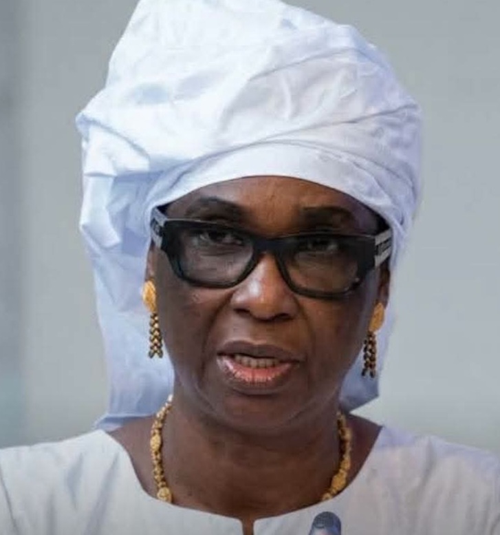 Dr Coumba Bâ défend sa vision devant l’OIF lors de son audition pour le poste de SG